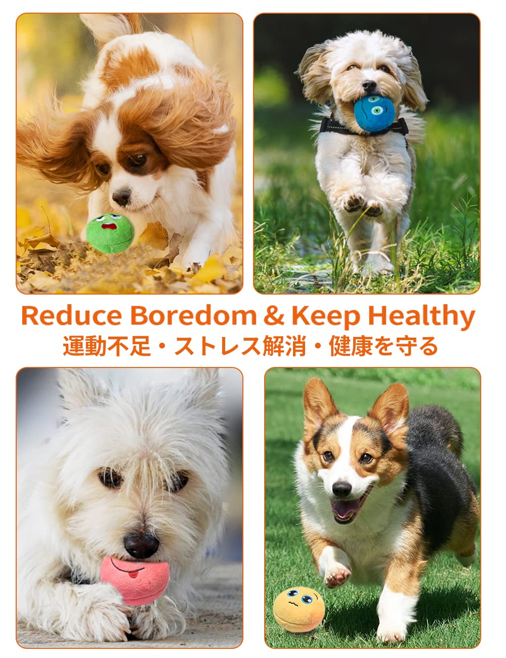 SCHITEC squeaky ball on floor highlights safe, light-weight design for indoor games.