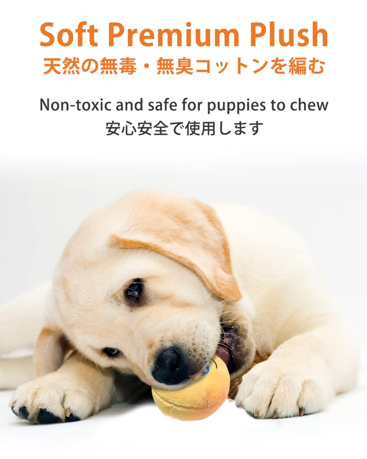 SCHITEC squeaky ball pack shows six-color set perfect for gift-ready puppy toys.