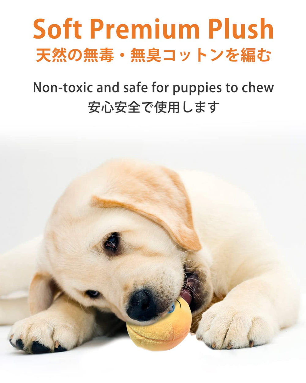 SCHITEC squeaky ball pack shows six-color set perfect for gift-ready puppy toys.