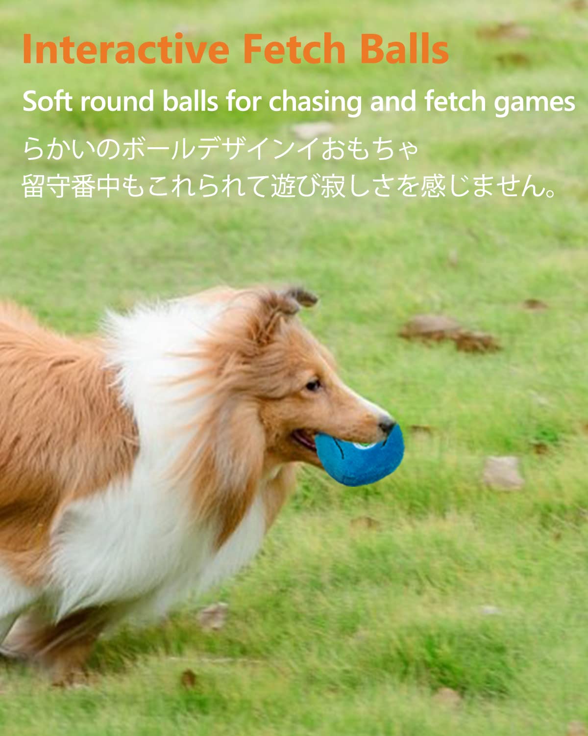 SCHITEC vibrant multi-color dog toys encourage active play and chasing.