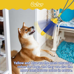 SCIROKKO EVA foam dog toy is lightweight and easy to handle.