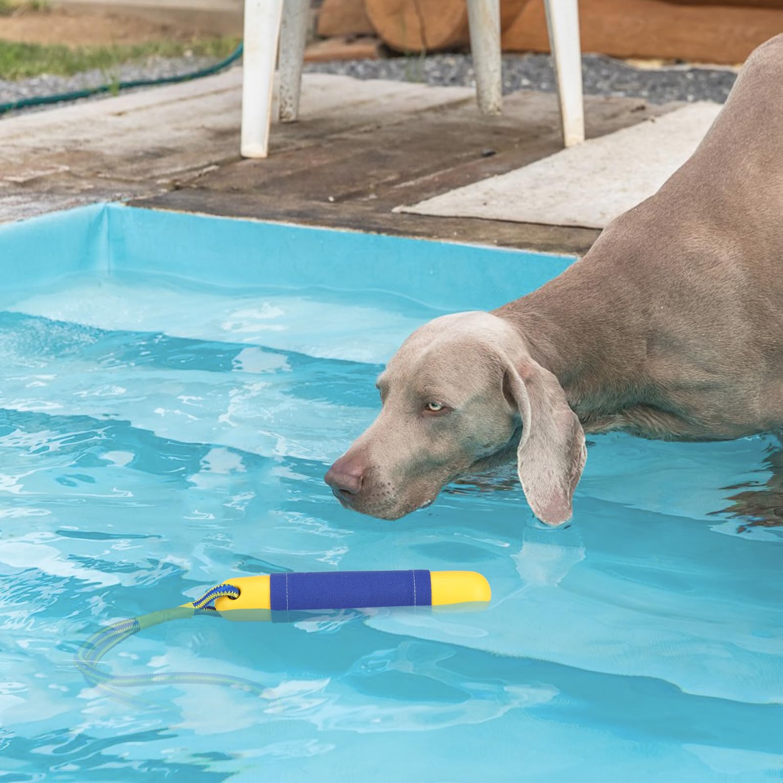 SCIROKKO dog pool toy supports interactive fetch and bonding moments.