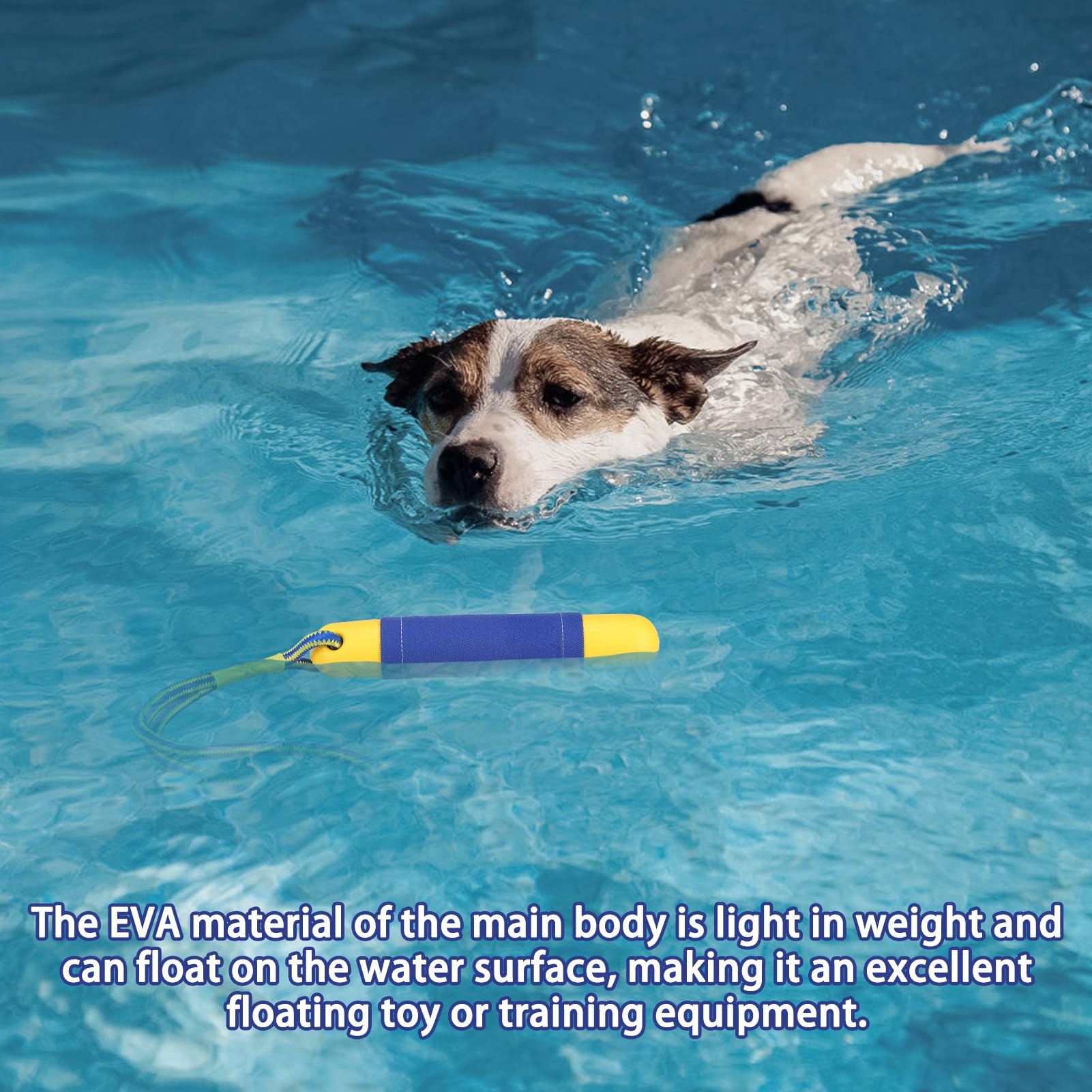 SCIROKKO pool toy designed for water and grass play and fetch.