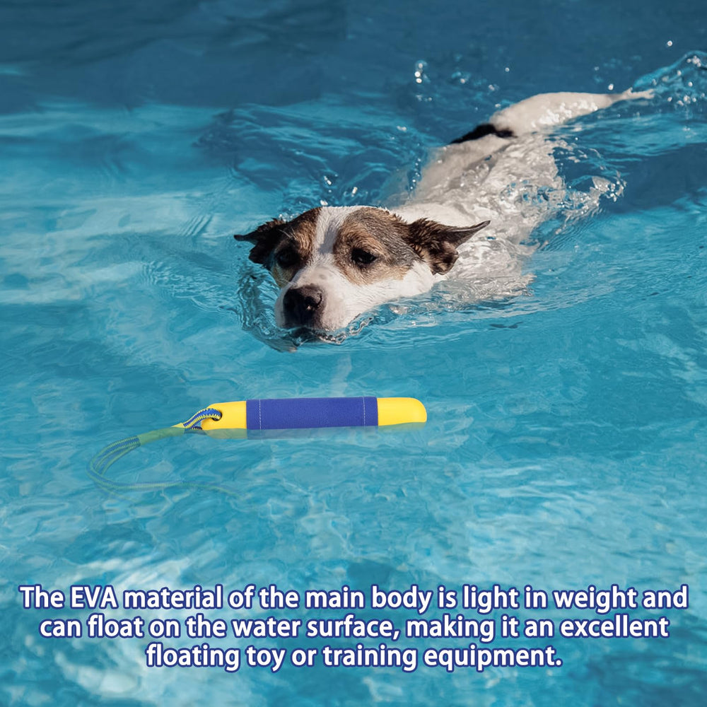 SCIROKKO pool toy designed for water and grass play and fetch.