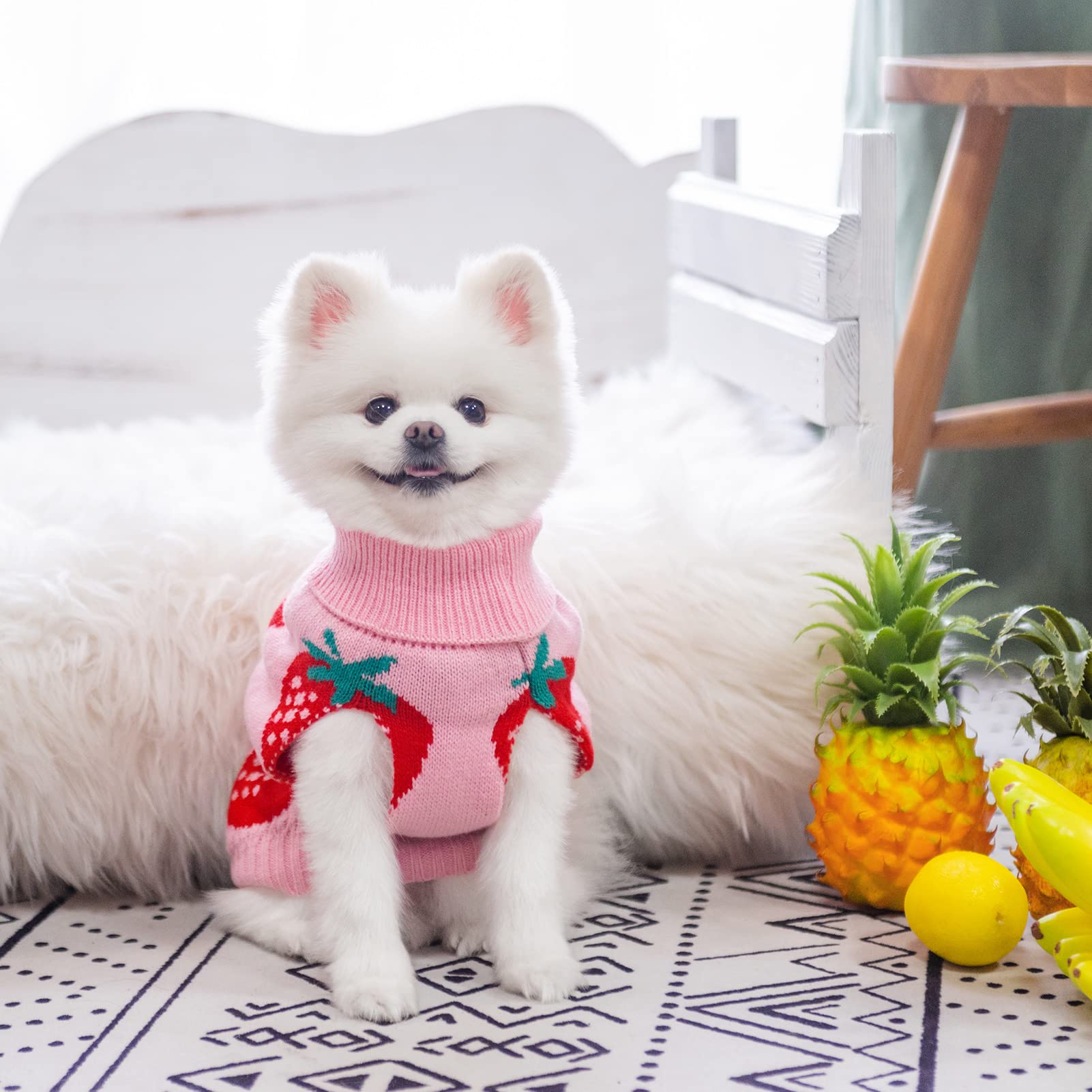 SCIROKKO back leash hole demonstrates easy harness integration