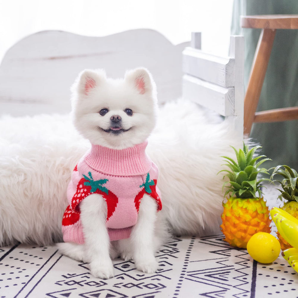 SCIROKKO back leash hole demonstrates easy harness integration