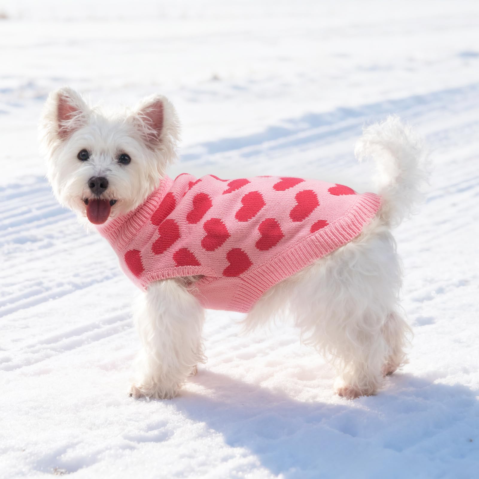 SCIROKKO back hole enables leash pass-through for easy outdoor walks.