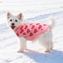 SCIROKKO back hole enables leash pass-through for easy outdoor walks.