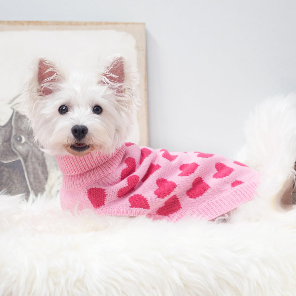 SCIROKKO pink knit heart pattern creates an eye-catching look for dogs.