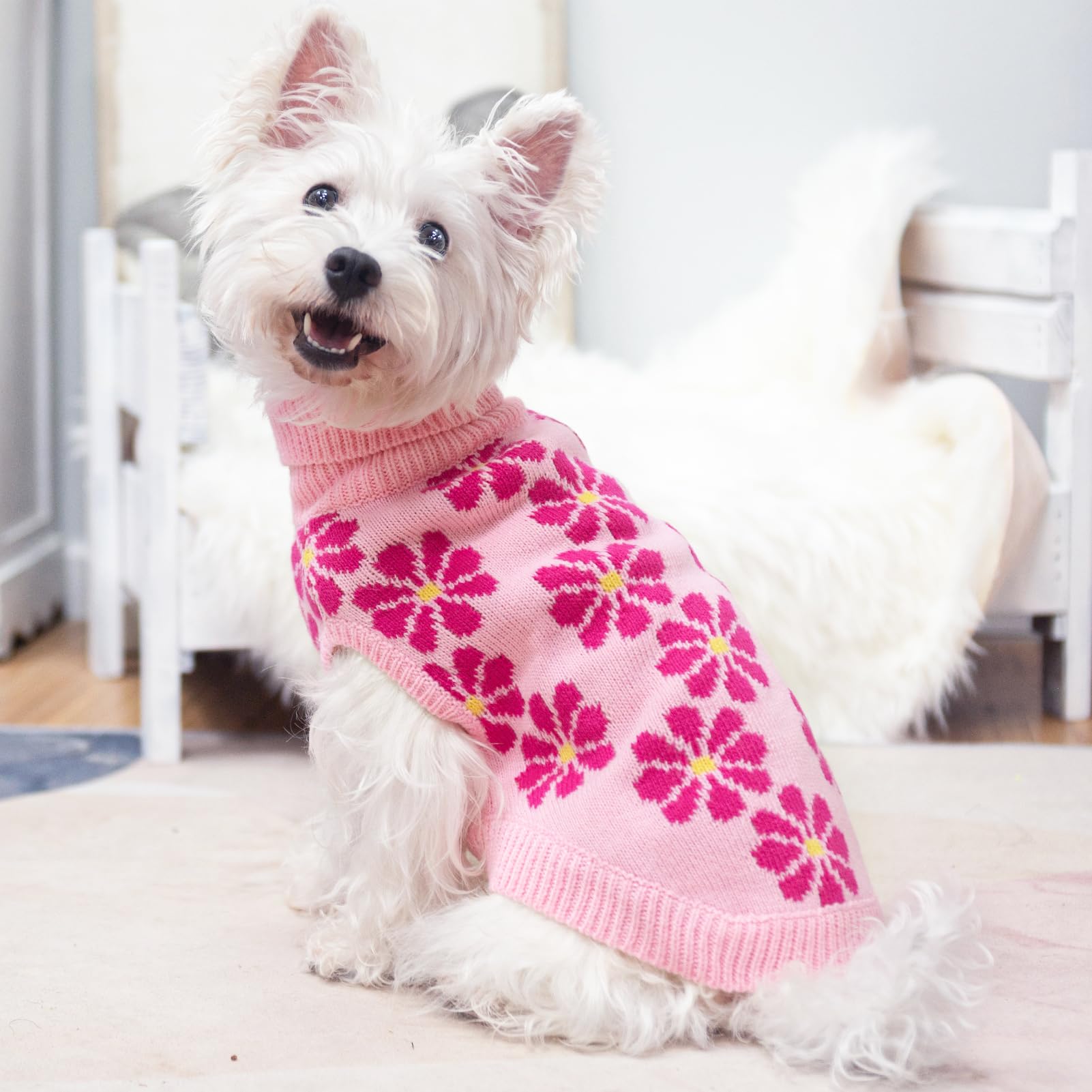 SCIROKKO model wearing small-dog winter knit fall/winter coat
