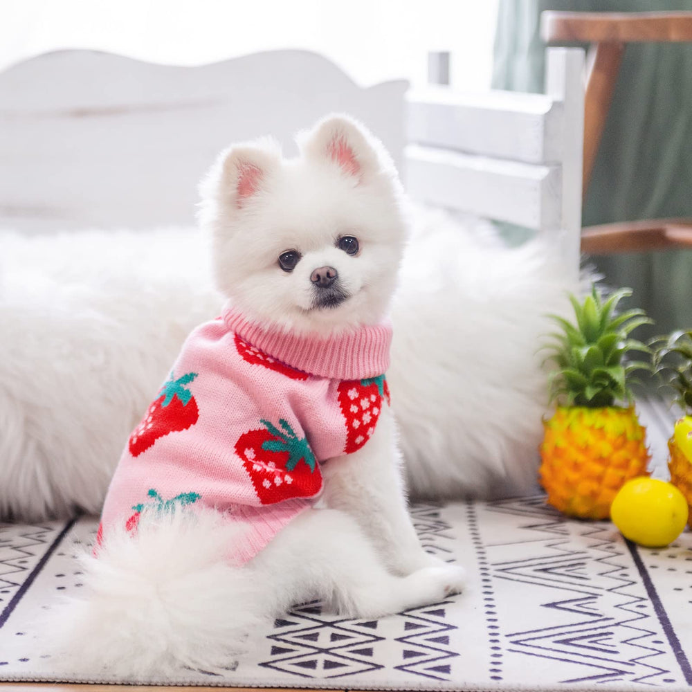 SCIROKKO warm knit closeup emphasizes warmth and comfort for small dogs