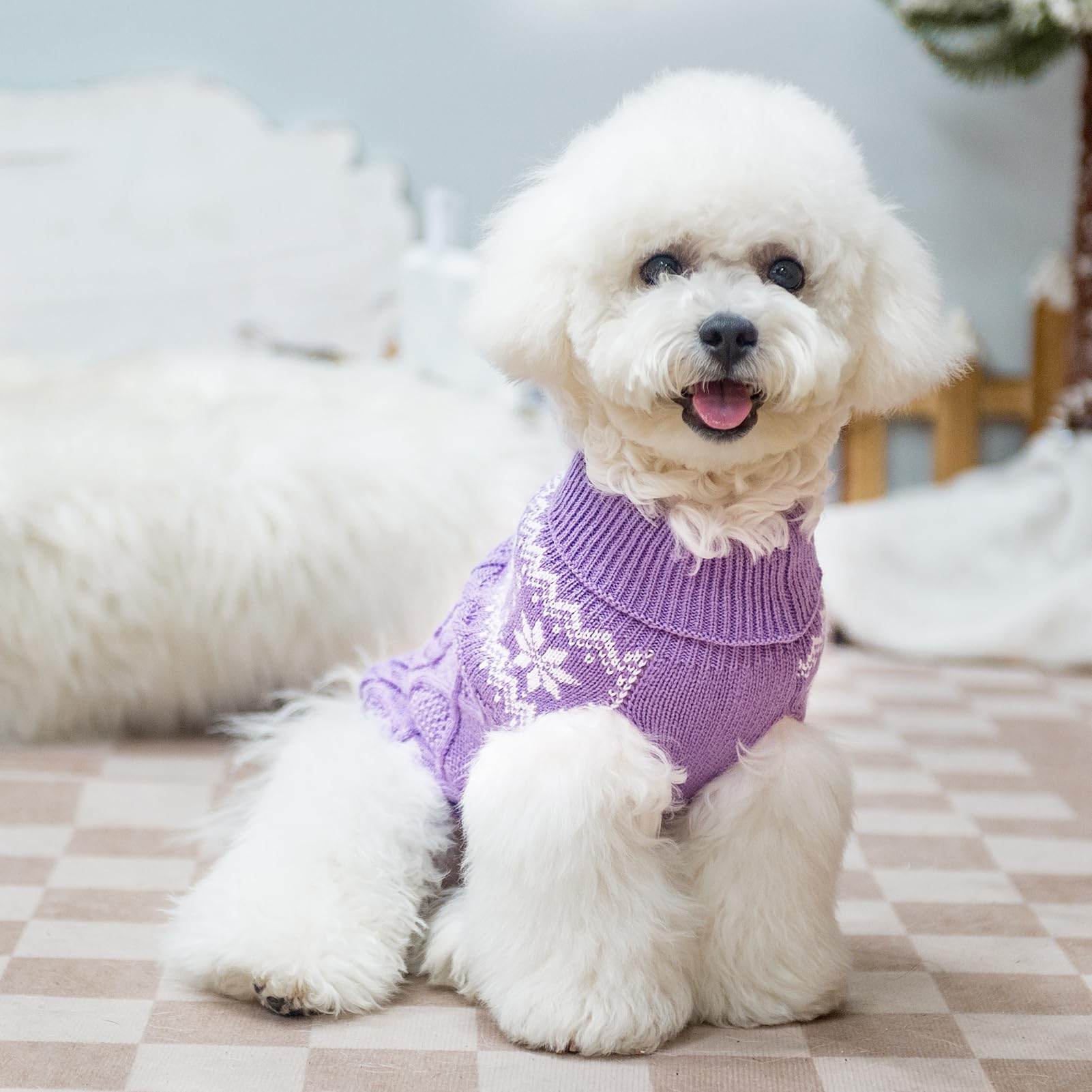 SCIROKKO suéter morado, ideal para paseos nocturnos y diurnos.
