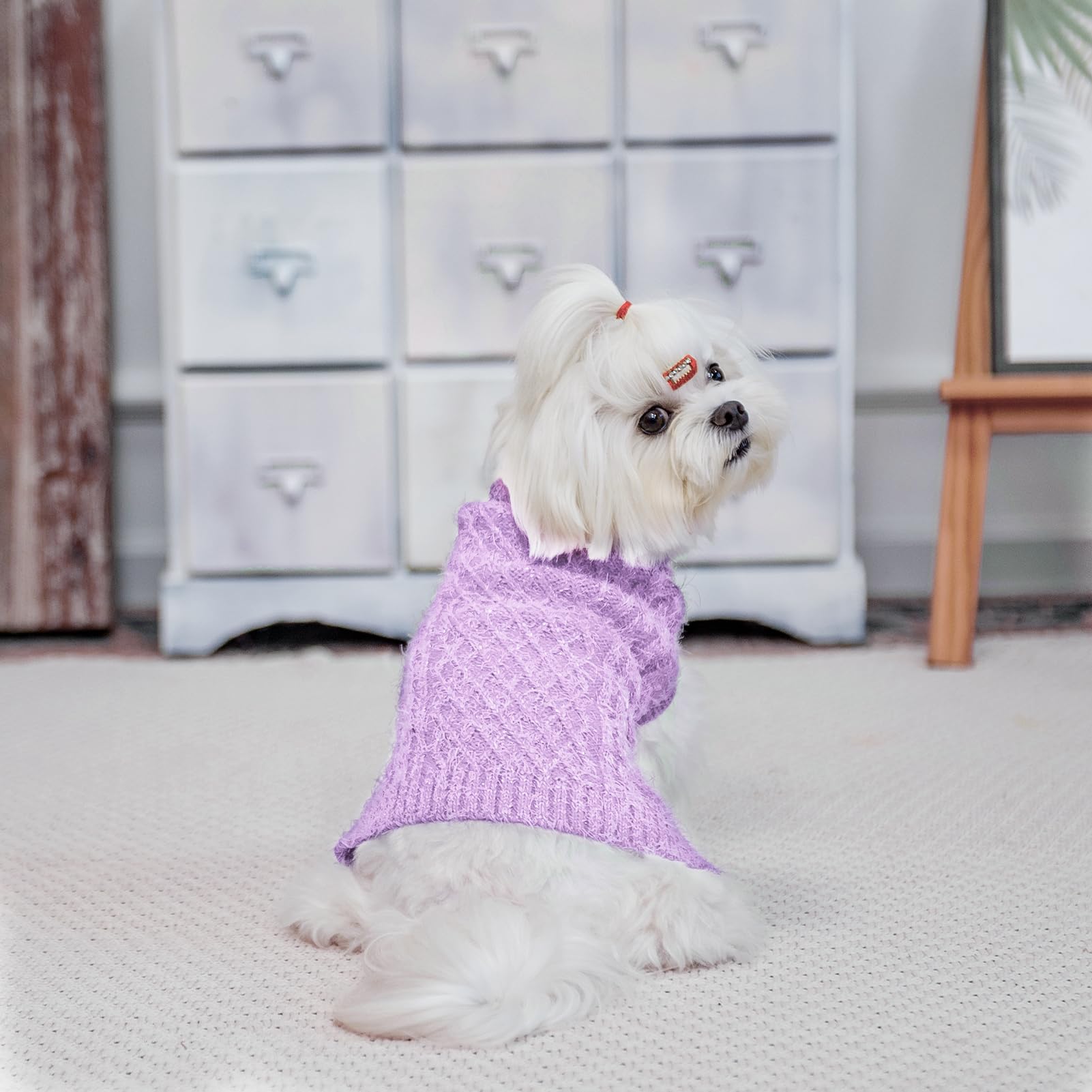 SCIROKKO turtleneck dog sweater back view, showcases warmth and design.