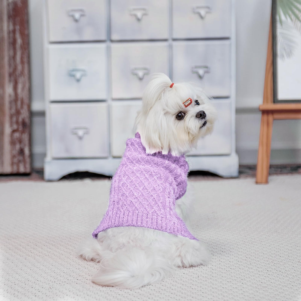 SCIROKKO turtleneck dog sweater back view, showcases warmth and design.