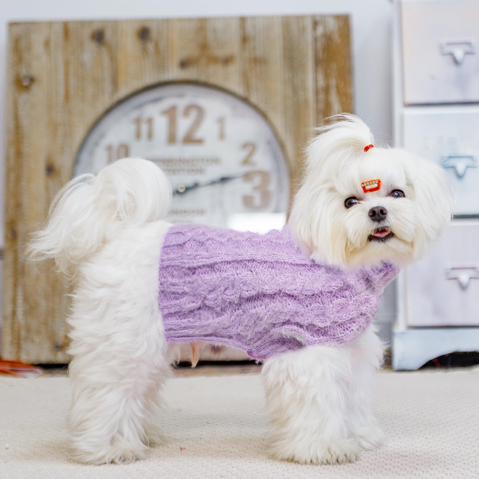 SCIROKKO turtleneck dog sweater chest area, warm fabric blocks chilly winds.