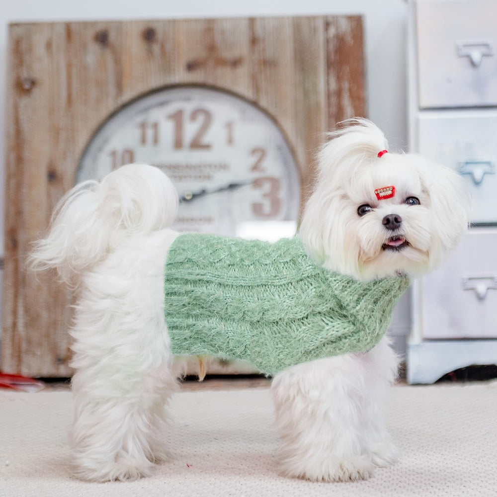 SCIROKKO green-wearability demonstrates versatile styling for indoor lounging and outdoor walks