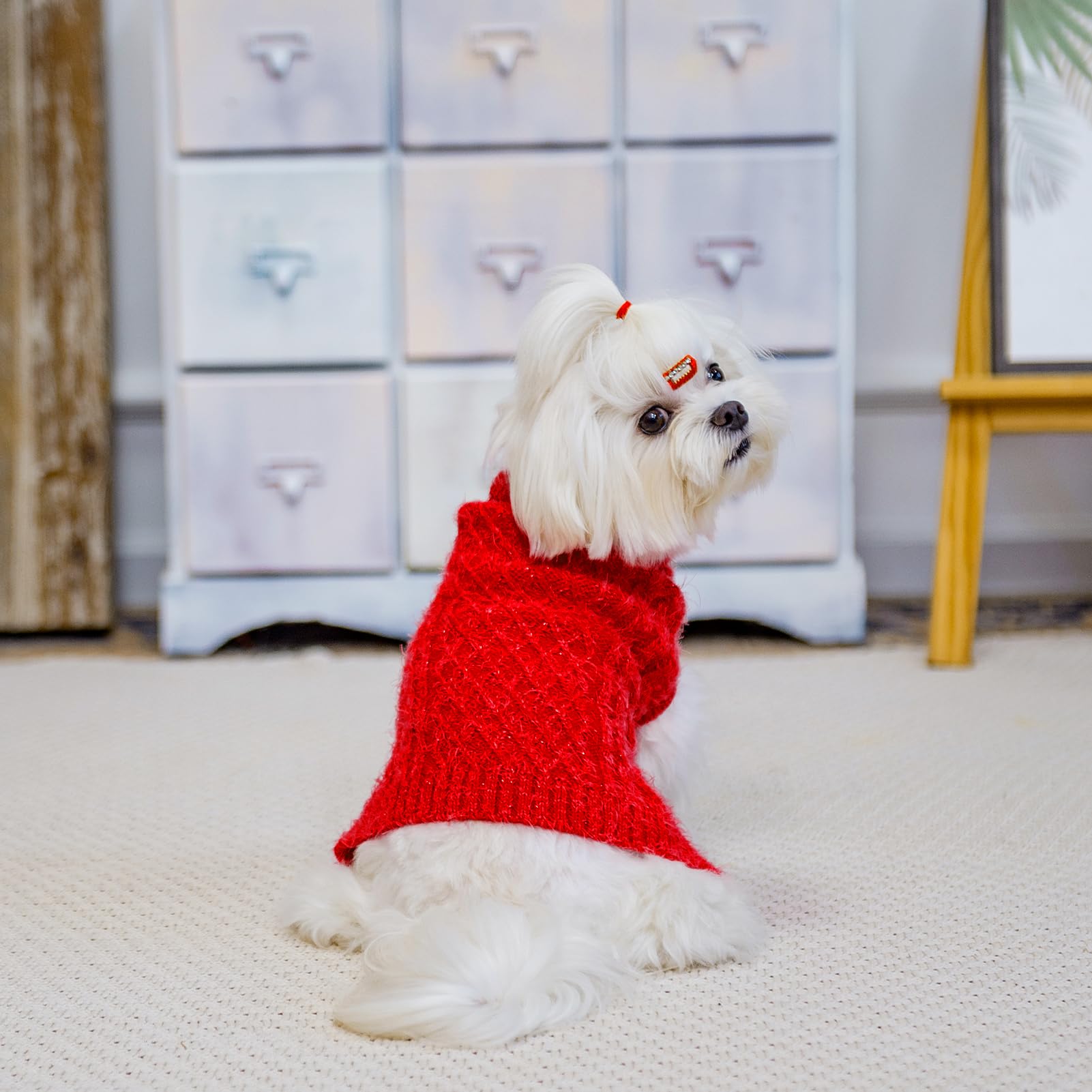 scirokko turtleneck dog sweater red side view shows full coverage