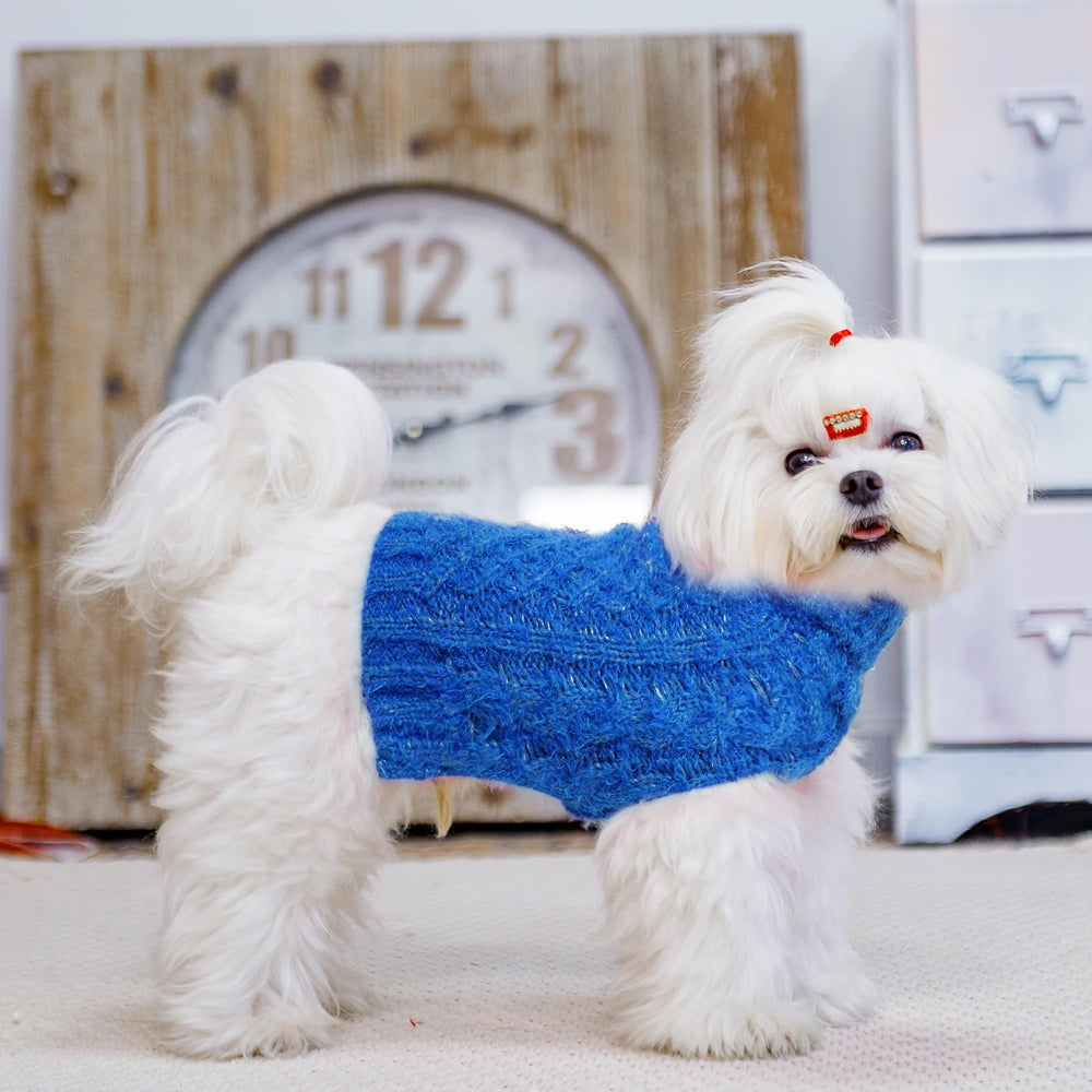 SCIROKKO turtleneck dog sweater blue warm fabric helps block chilly winds.