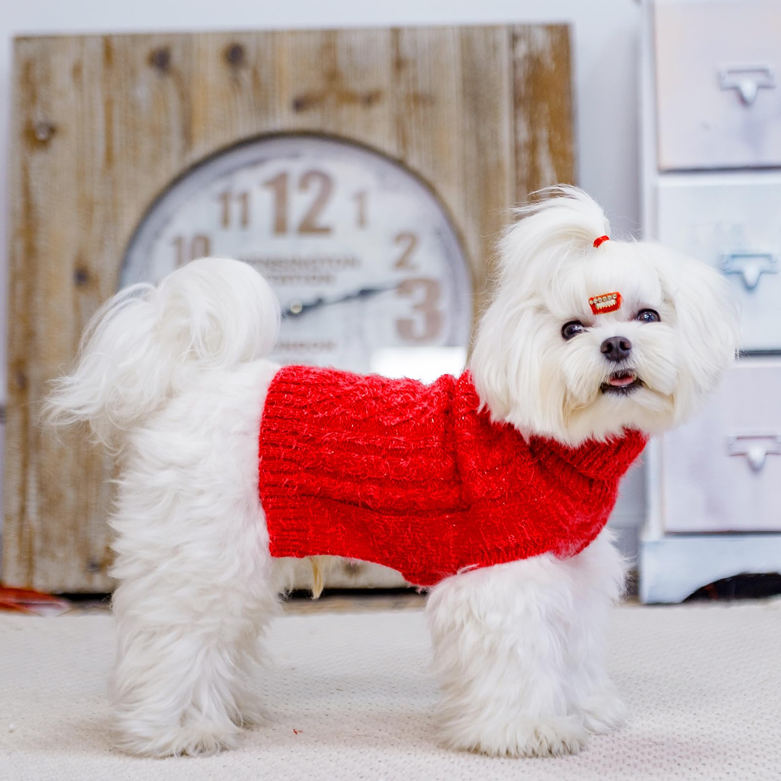 SCIROKKO turtleneck back view red small cozy material detail