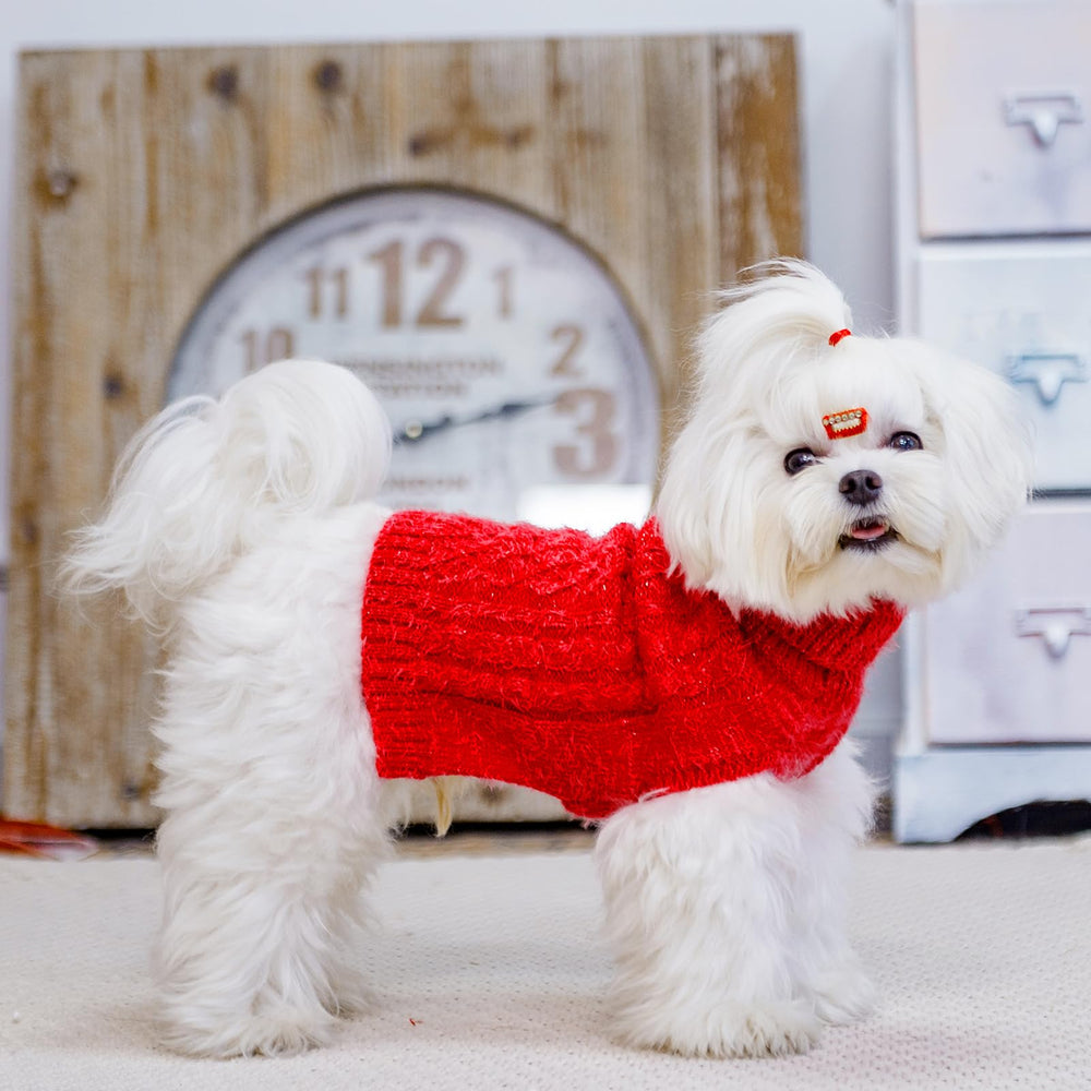 SCIROKKO turtleneck back view red small cozy material detail