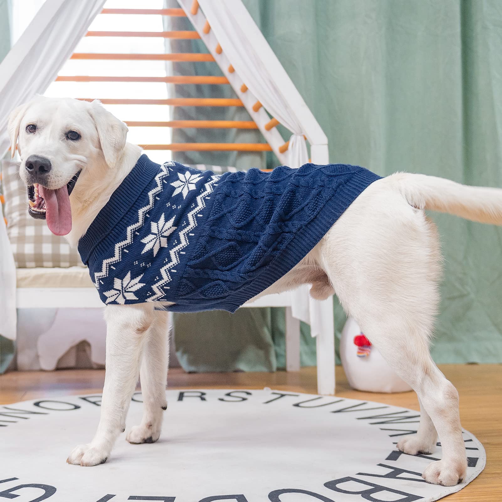 SCIROKKO Warm Winter Dog Sweater lapel design adds stylish warmth.