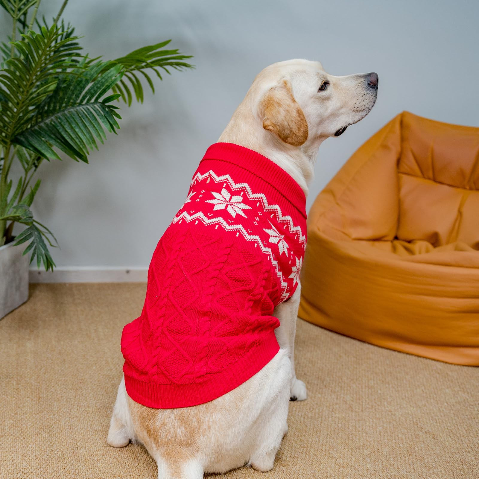 SCIROKKO warm winter dog sweater lapel detail emphasizing warmth around the neck