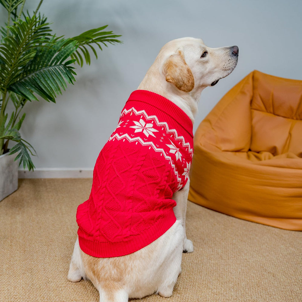 SCIROKKO warm winter dog sweater lapel detail emphasizing warmth around the neck