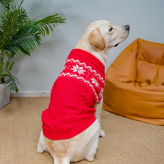 SCIROKKO warm winter dog sweater lapel detail emphasizing warmth around the neck