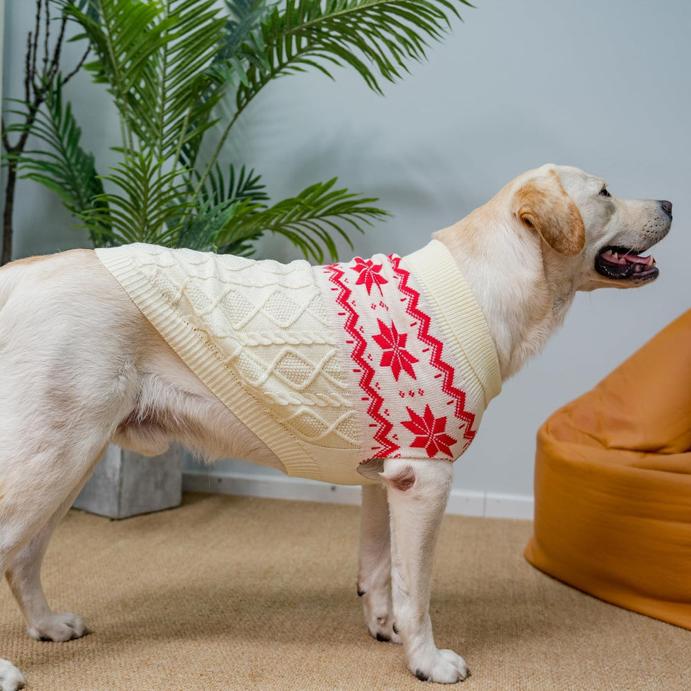 SCIROKKO Warm Winter Pink Dog Sweater lapel detail emphasizes snug collar warmth.