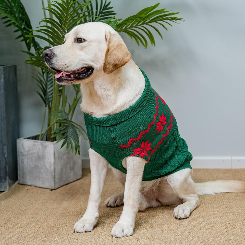 SCIROKKO warm winter pink dog sweater leash-hole detail enables easy outdoor control.