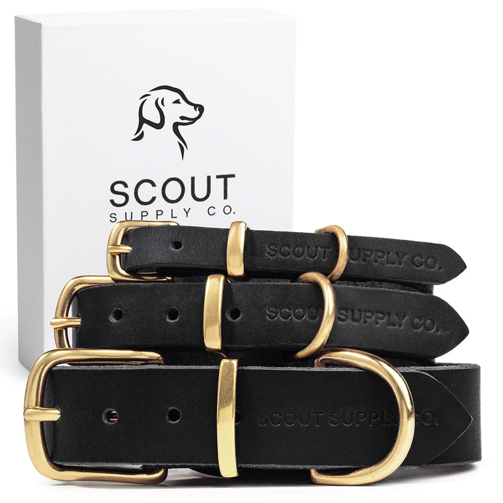 Scout Supply Co. Classic Leather Dog Collar closeup-brass-hardware highlights durable hardware.