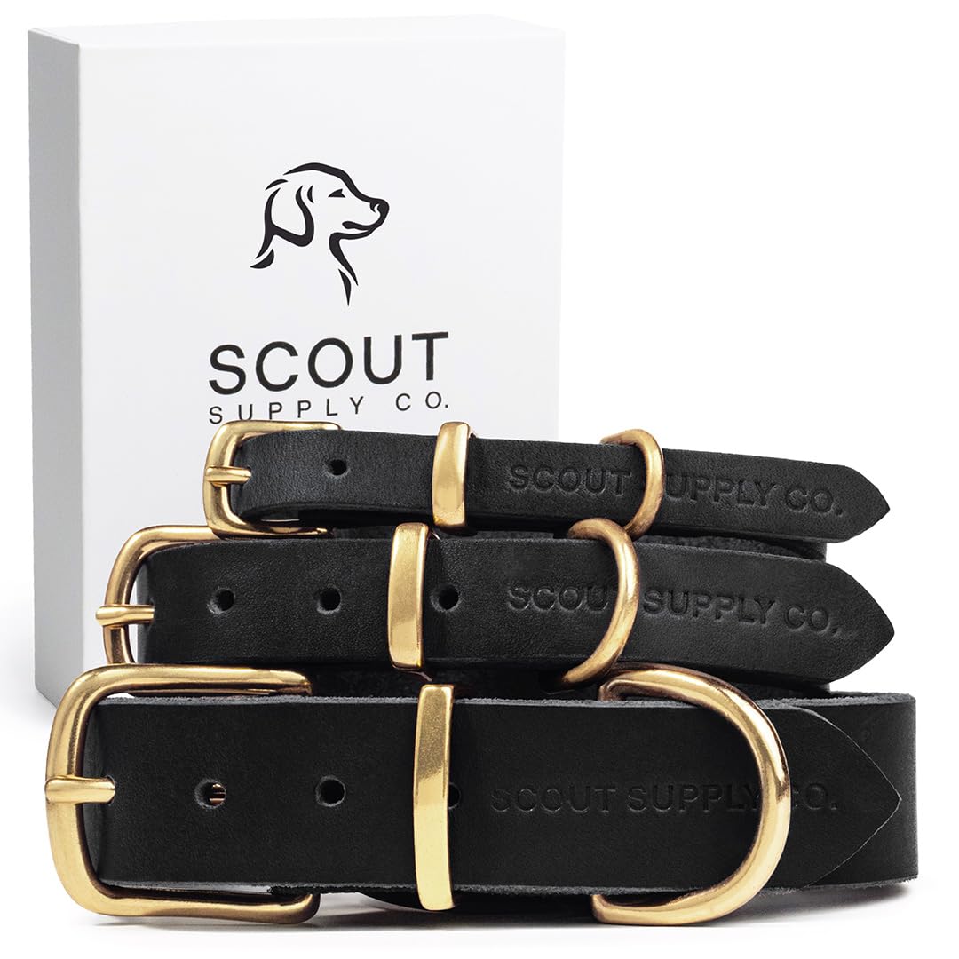 Scout Supply Co. Classic Leather Dog Collar closeup-brass-hardware highlights durable hardware.