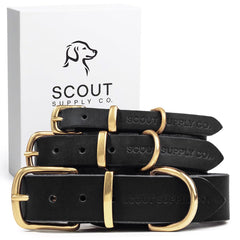 Scout Supply Co. Classic Leather Dog Collar closeup-brass-hardware highlights durable hardware.