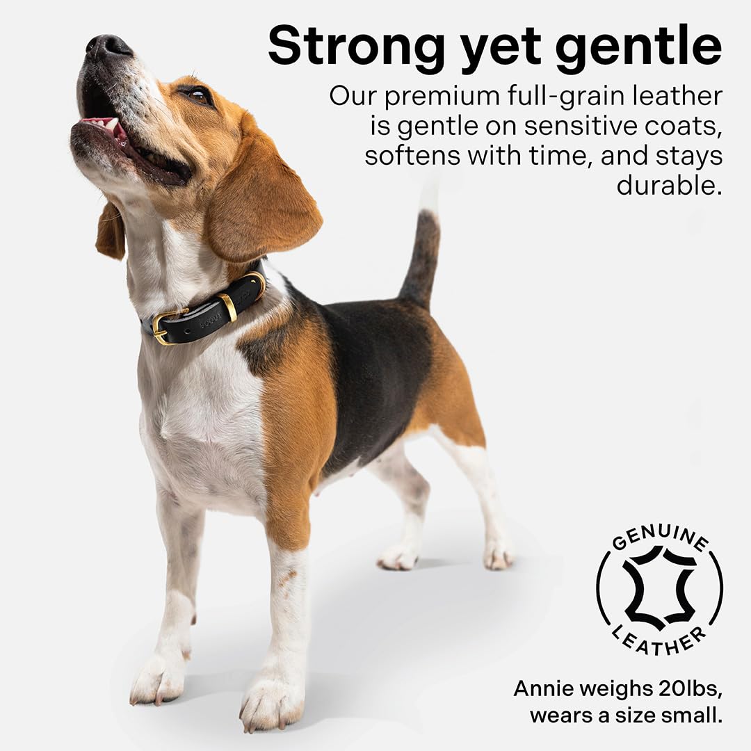 Scout Supply Co. Classic Leather Dog Collar full-grain leather delivers lasting durability.