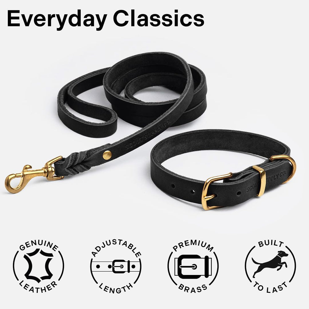 Scout Supply Co. Classic Leather Dog Collar on-dog-walk showcases timeless design.