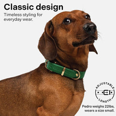 Scout Supply Co Classic Leather Collar patina over time adds unique pup character.
