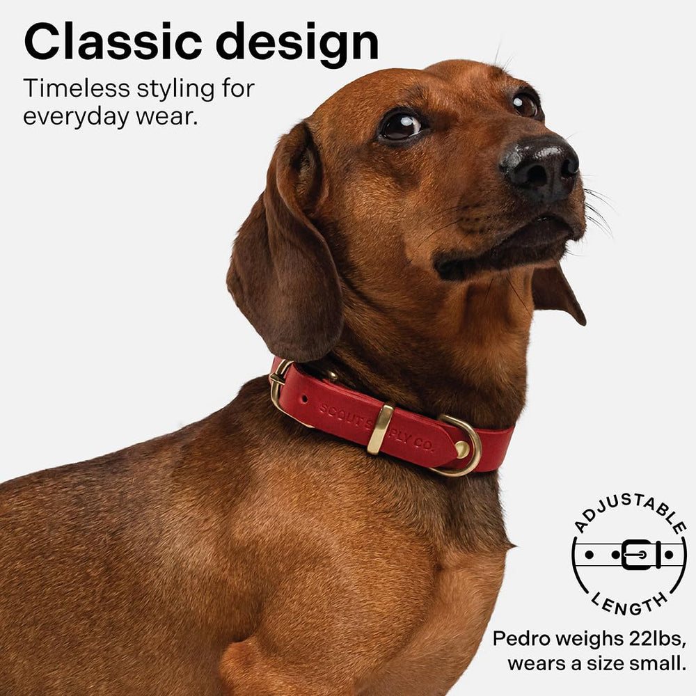Scout Supply Co Classic Leather Dog Collar red XL heavy-duty construction