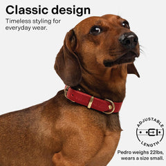 Scout Supply Co Classic Leather Dog Collar red XL heavy-duty construction