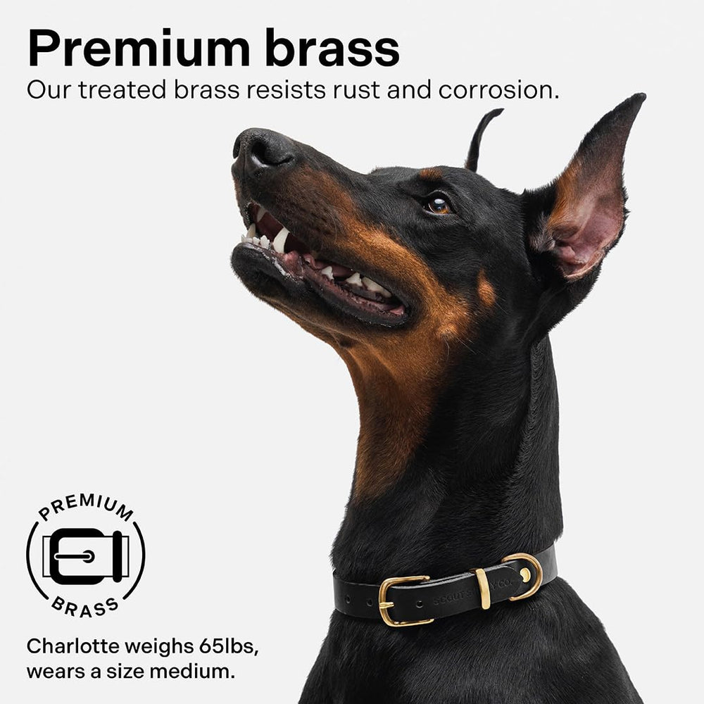 Scout Supply Co. Classic Leather Dog Collar smooth-finish ensures comfortable contact with fur.