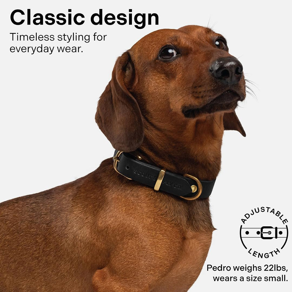 Scout Supply Co. Classic Leather Dog Collar waterproof-materials ideal for outdoor adventures.