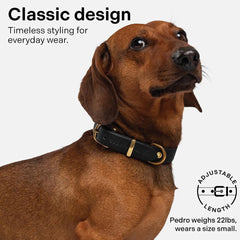Scout Supply Co. Classic Leather Dog Collar waterproof-materials ideal for outdoor adventures.
