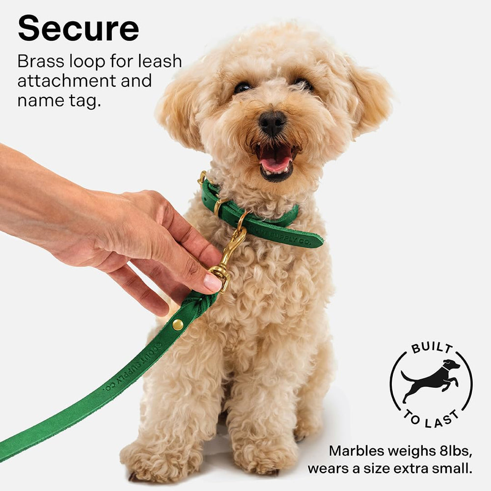 Scout Supply Co Classic Leather Collar demonstrates wear testing for daily use strength.