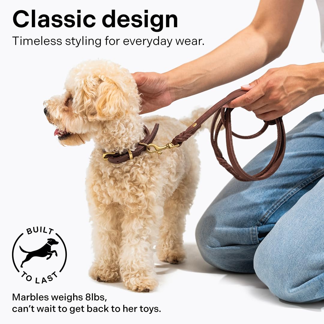 Scout Supply Co. Classic Leather Dog Leash 4.5 ft length ideal for training and daily adventures