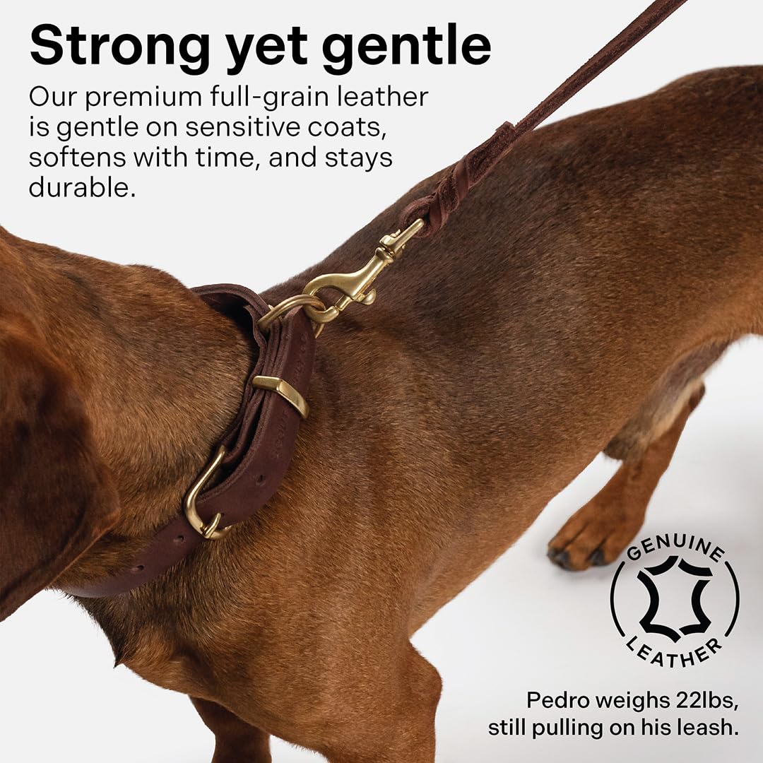 Scout Supply Co. Classic Leather Dog Leash brass hardware resists rust for reliable use