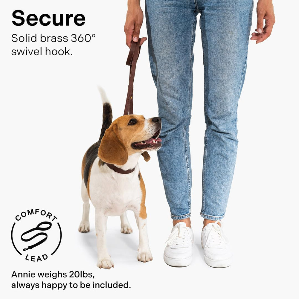 Scout Supply Co. Classic Leather Dog Leash waterproof finish keeps you prepared in the rain