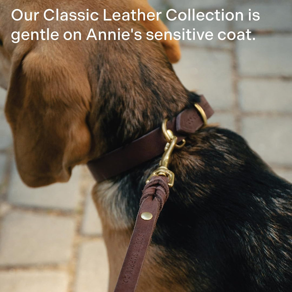 Scout Supply Co. Classic Leather Dog Leash 1/2 inch width fits mid-size dogs comfortably