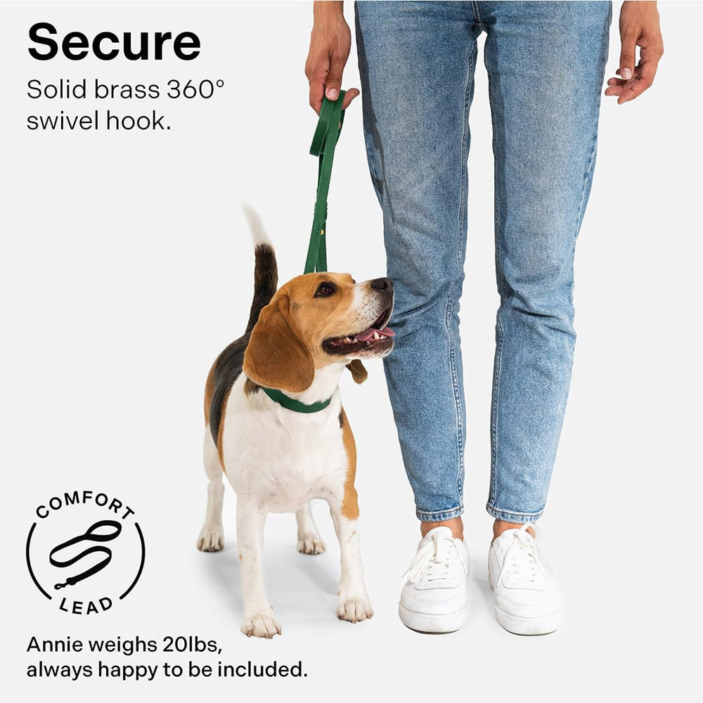 Scout Supply Co. Classic Leather Leash 4.5 feet length ideal for training.