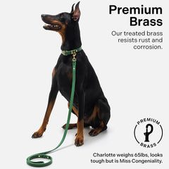 Scout Supply Co. Classic Leather Leash braided accents add texture and style.