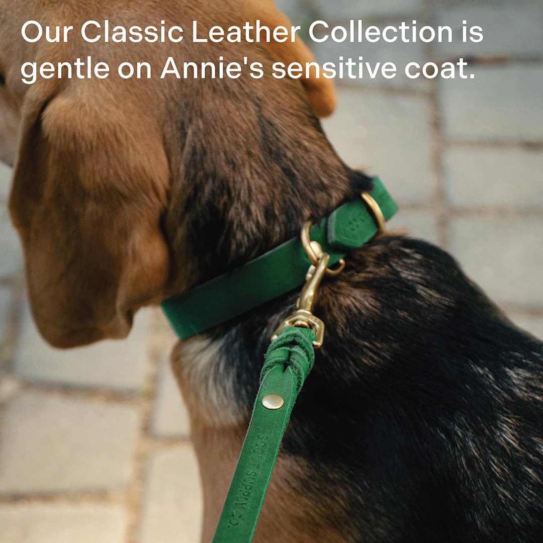 Scout Supply Co. Classic Leather Leash green color adds timeless outdoor versatility.