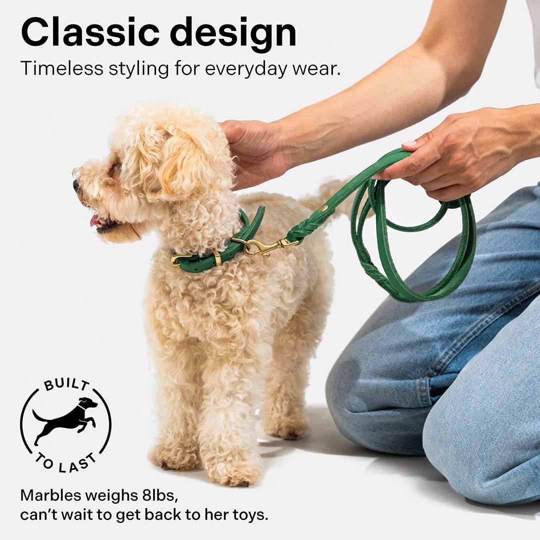 Scout Supply Co. Classic Leather Leash medium width 1/2 inch for smaller dogs.
